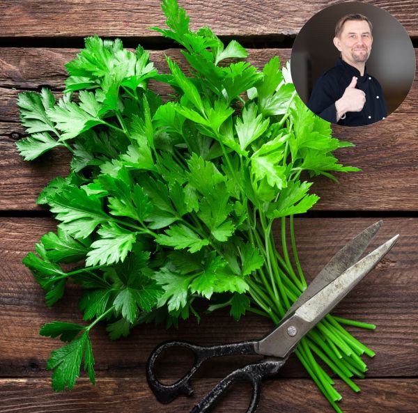 Bladpersilja, Slätbladig